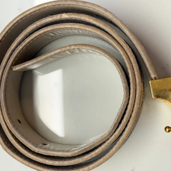 Louis Vuitton Beige Checkered Belt with Gold Buckle - Picture 2 of 8